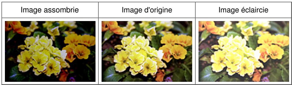 CANON MG3250 - Luminosite - 2