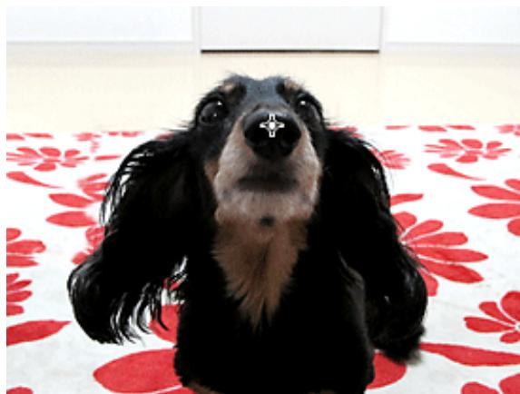 CANON MG3255 - Remarque - 1