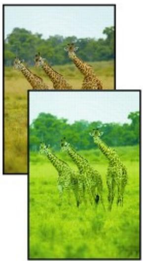 CANON MG3255 - Aucun résultat d'impression/L'impression est floue/Les couleurs ne sont pas fidèles/Traces blanches - 3