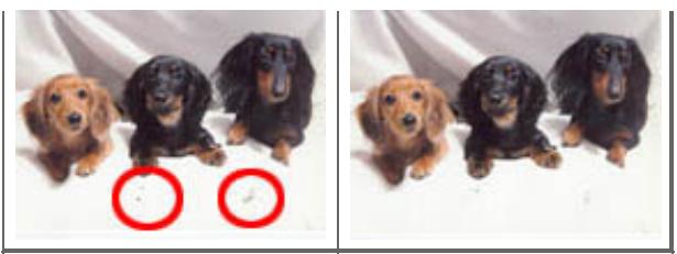 CANON MG3255 - Réduction de la poussière et des imperfections - 1