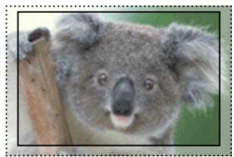 CANON MG3255 - Taux d'extension - 2