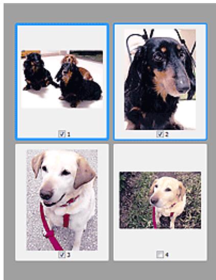 CANON MG3255 - (Miniature) est affichée dans la barre d'outils - 1