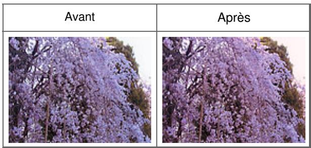 CANON MG3255 - Réglage des couleurs - 2