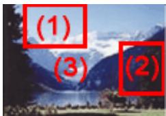 CANON MG3255 - Utilisation des histograms - 1