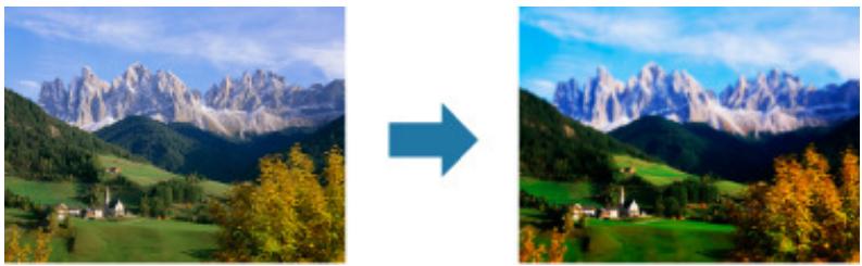 CANON MG3255 - Effet miniature - 1