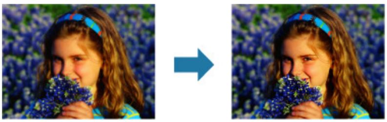 CANON MG3255 - Affineur de visage - 1