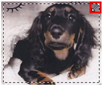 CANON MG3255 - Ajustement d'un cadre de découpe - 1