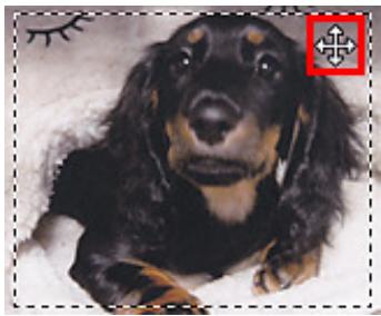 CANON MG3255 - Ajustement d'un cadre de découpe - 3