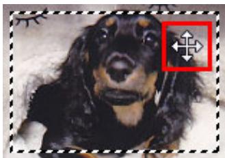 CANON MG3255 - Ajustement d'un cadre de découpe - 3