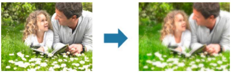 CANON MG3255 - Amélioration avec flou artistique - 1