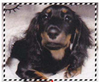 CANON MG3255 - Types de cadres de découpe - 1