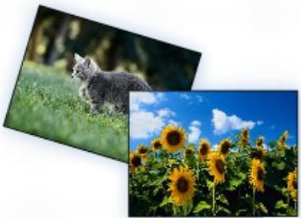 CANON MG4250 - Impression de photographies sauvegardées sur une carte mémoire - 2