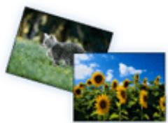 CANON MG4250 - Logiciels utiles - 2