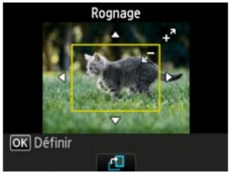 CANON MG4250 - Remarque - 1