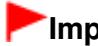 CANON MG4250 - Important - 1