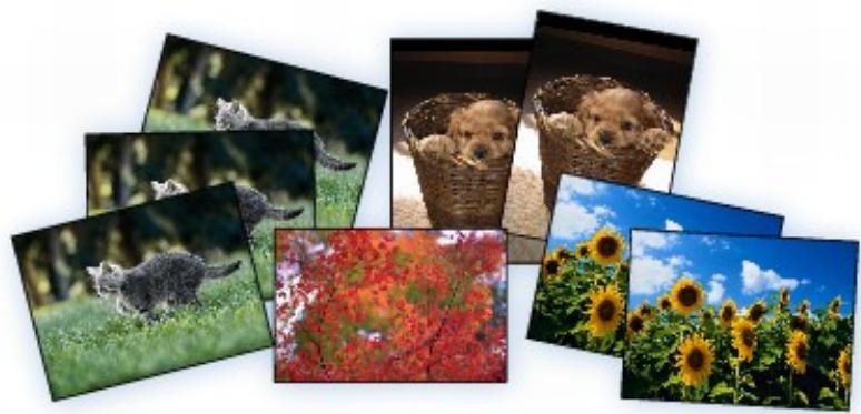CANON MG4250 - Selection et impression de photos - 1