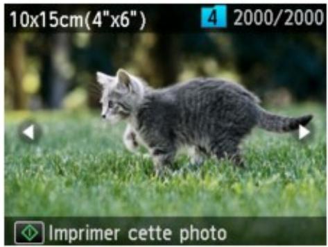 CANON MG4250 - Remarque - 1