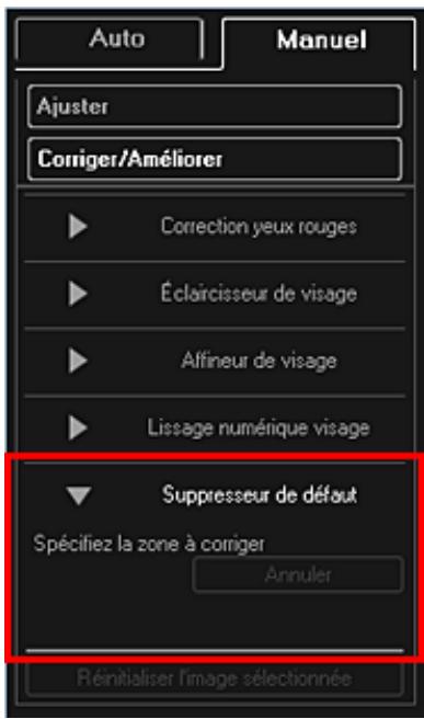 CANON MG4250 - Remarque - 1