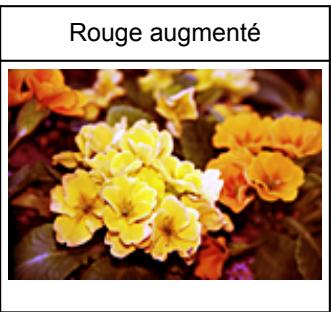 CANON MG 3650 - Équilibre des couleurs - 3