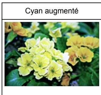 CANON MG 3650 - Équilibre des couleurs - 2