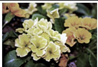 CANON PIXMA MG5751 - Saturation - 2