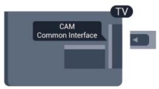 PHILIPS 42PUS7809 - Insertion d'un module CAM - 1