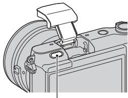 SONY NEX-6 - Flash Mode - 1