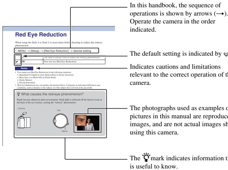 SONY NEX-6 - Marks and notations used in this handbook - 1