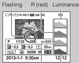 SONY NEX-6 - What is histogram? - 1