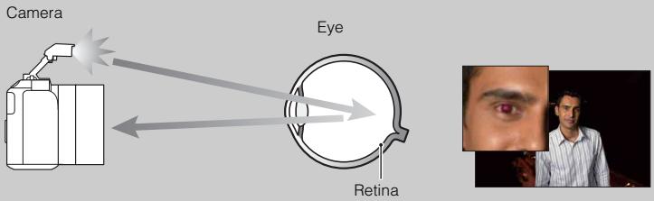 SONY NEX-6 - What causes the red-eye phenomenon? - 1