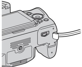 SONY A37 - Afdekking aansluitplaat - 1