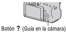 SONY A37 - Guía en la camaría - 1