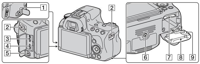 SONY A37 - Boki/spód - 1