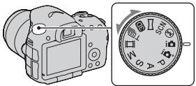 SONY SLT-A57 - Prise de vue avec les divers modes de prise de vue - 1