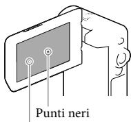 SONY HDR-GW66 - Pannello LCD - 1