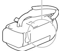 SONY HDR-PJ320 E - Sposób korzystania z niniejszej instrukcjji - 1