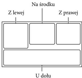 SONY HDR-PJ420 - Wskaźniki na ekranie - 1