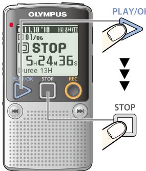 OLYMPUS DP-211 - Basse - 2