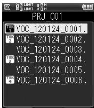OLYMPUS LS-14 - En mode multipiste - 1