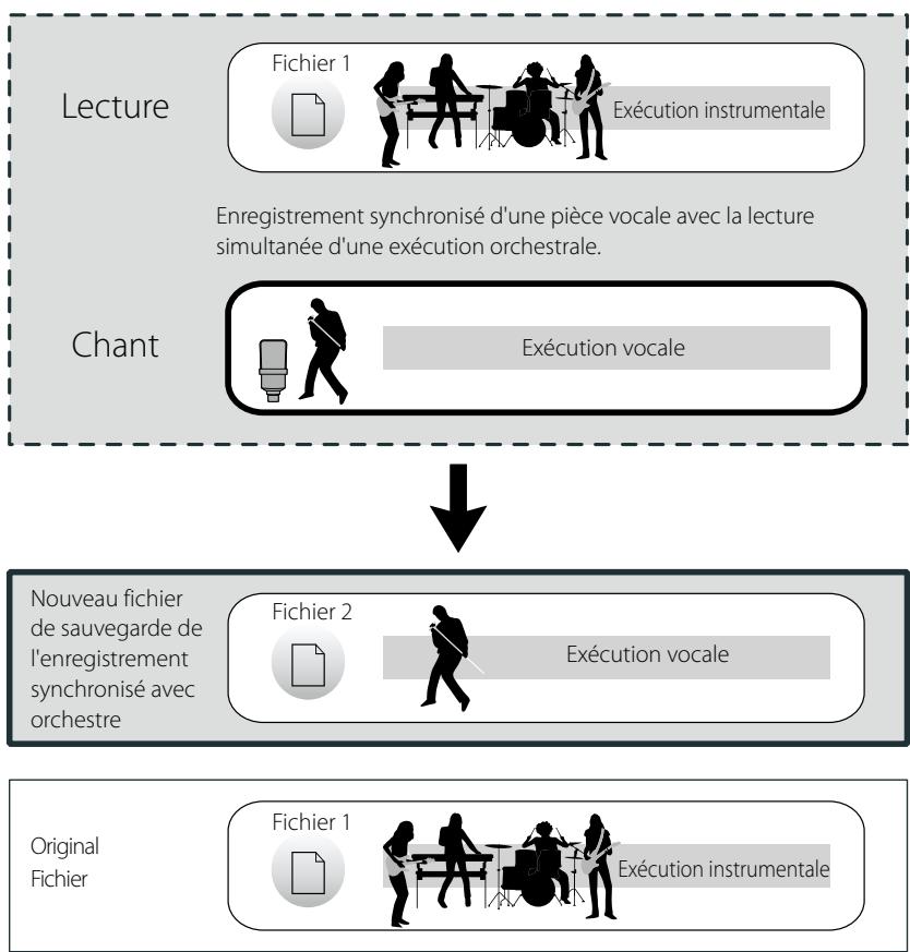OLYMPUS LS-20M - Exemple d'utilisation - 1