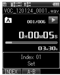 OLYMPUS LS-20M - Marque index - 2