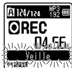 OLYMPUS VN-713PC - synchronisation de la voix : - 3