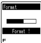 OLYMPUS VN-8500 PC DNS - Format [Format] - 6