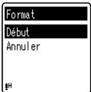 OLYMPUS VN-8500 PC DNS - Format [Format] - 2