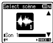 OLYMPUS WS-650 DNS - Modification de la plateforme de lecture [Lecture scène] - 3