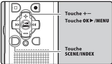 OLYMPUS WS-650 DNS - Modification de la plateforme de lecture [Lecture scène] - 1