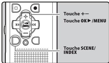 OLYMPUS WS-650 DNS - Changement de la plateforme d'enregistrement [Rec Scène] - 1
