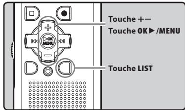 OLYMPUS WS-650 DNS - Remarques - 2