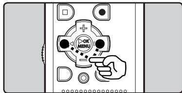 OLYMPUS WS-650 DNS - Localisation - 1