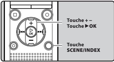 OLYMPUS WS-811 - Modification de la plateforme de lecture [Lecture scène] - 1
